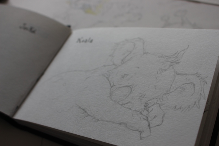Koala Sketchbook